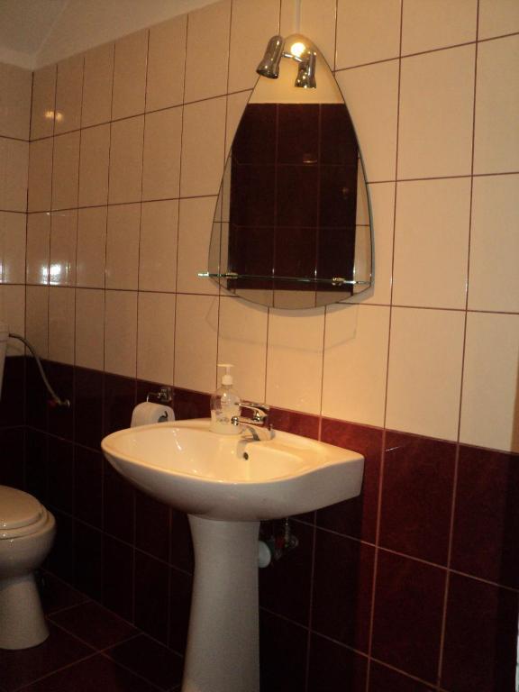 Pensiunea Irina Tilisca Room photo