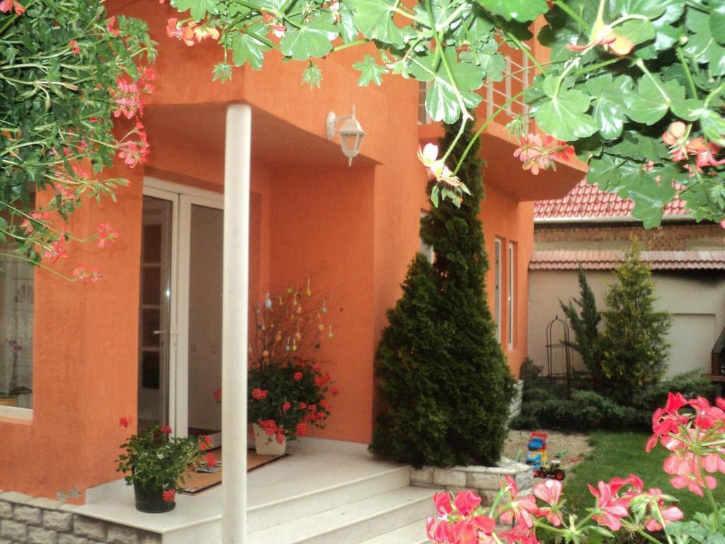 Pensiunea Irina Tilisca Exterior photo